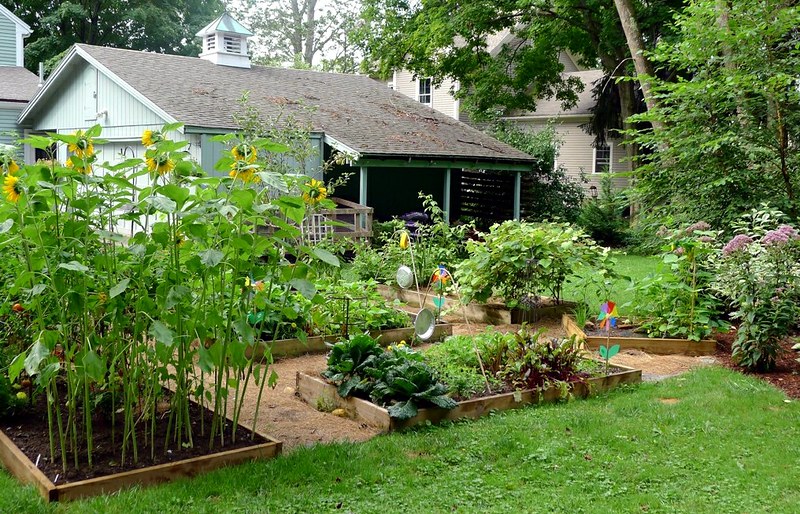 permaculture design for backyards